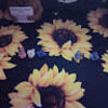 gemini_closet24